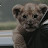 @saleh09334