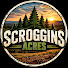 KpOvAaEcqGs-channel-avatar-Scroggins Acres