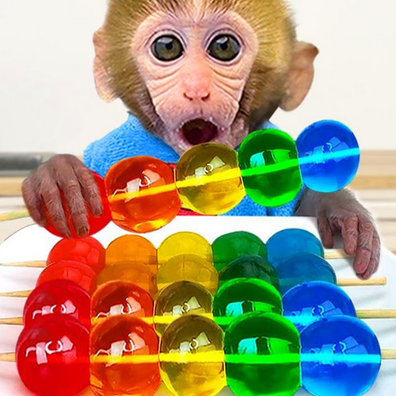 BonBon Em Português