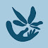 PElfmpsZuVo-channel-avatar-Bond & Bloom Pelvic Health Physical Therapy