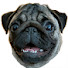 OgmjWLRjHyA-channel-avatar-Eddie