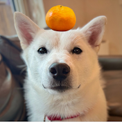 おもち×和人 VLOG