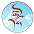i3JYyzrJi_0-channel-avatar-སྲོལ་རྒྱུན་རིག་གཞུང་བརྙན་མཛོད་གླིང་།
