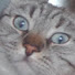 bXOuEJfGZyA-channel-avatar-Koska miay
