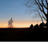 raJwQRgMI8c-channel-avatar-Falling Sun Acres