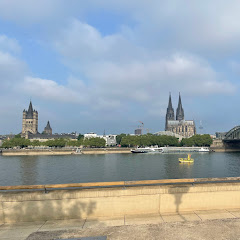 Köln-Insights