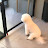 @알파벳브이