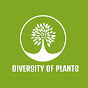 Diversity of plants zone YouTube Profile Photo