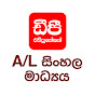 DP Education - A/L සිංහල මාධ්‍යය logo