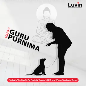Luvin.India.Official YouTube channel