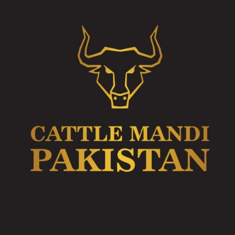 Cattle Mandi Pakistan