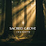 41pYbYVI8pI-channel-avatar-Sacred Grove Insights