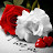 @وصفاتويومياتهدى-ب3ظ