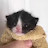 @beeboilol Avatar
