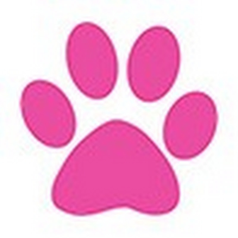 NatEye - все о животных и не только