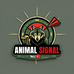 Animal Signal