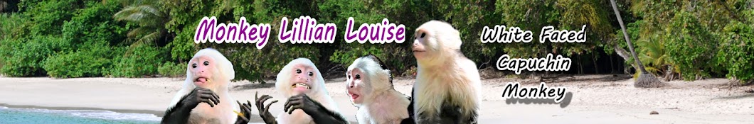 MonkeyLillianLouise YouTube kanalı avatarı