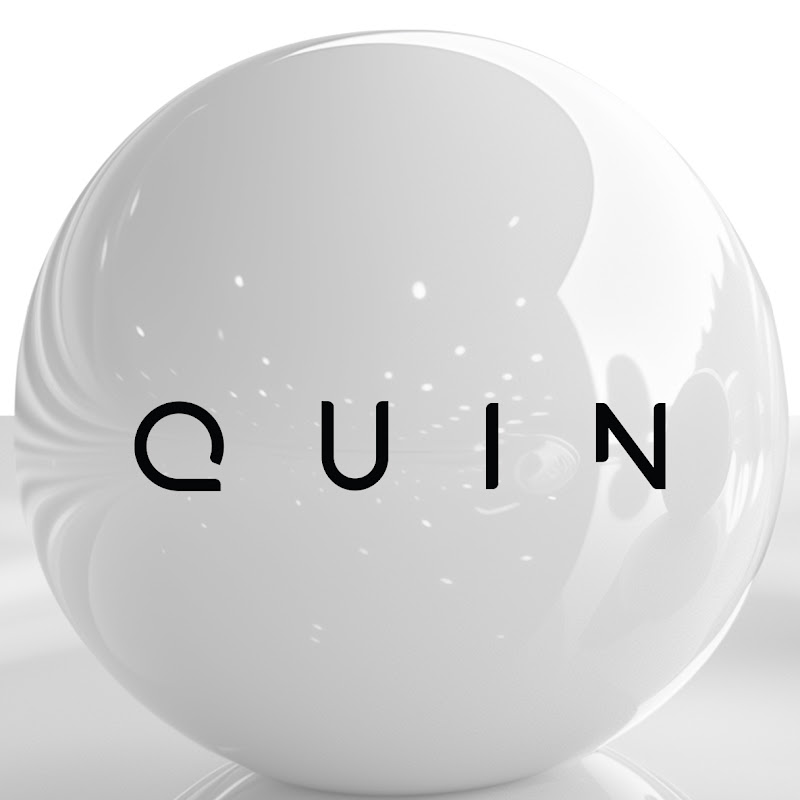 Quin The Game