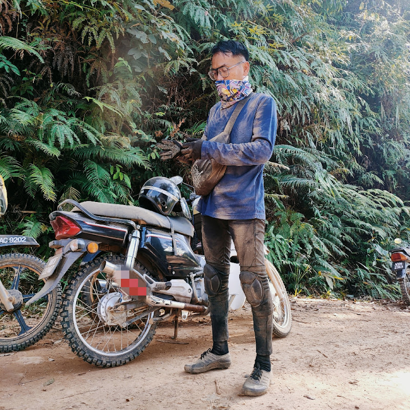 cikgu offroad