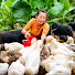 zetZGd2-8Rk-channel-avatar-Farm Daily life