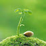 FHZ12H7kdXM-channel-avatar-Orchid Breeding