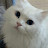 @로즈사랑-q7j