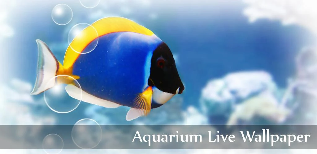 Ocean Aquarium 3d Live Wallpaper Apk Image Num 80