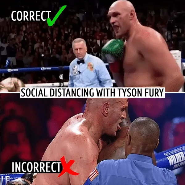 ewRzVtstsfkrJDXmdnWEzqkH7ouN3UmaZs3_N0L3