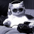 uxMeJy4JMS8-channel-avatar-Broken Sky01