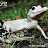 GatorJake456