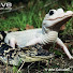 kVK_sTTy_gs-channel-avatar-GatorJake456