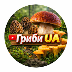 Гриби UA