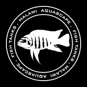 Malawi Aquascape
