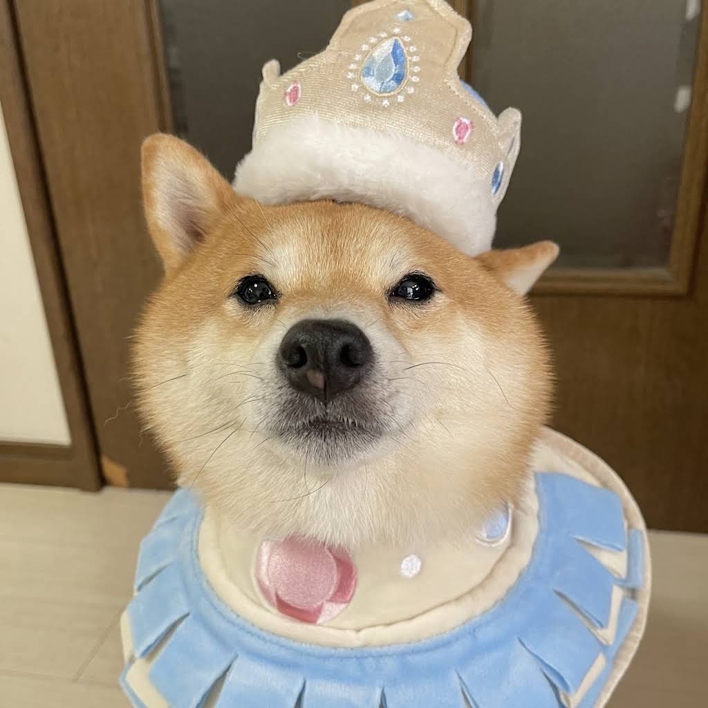 ウニのコ Blue Whaleen, Aquatic Phantom Queen | WIXOSS Wiki | Fandom