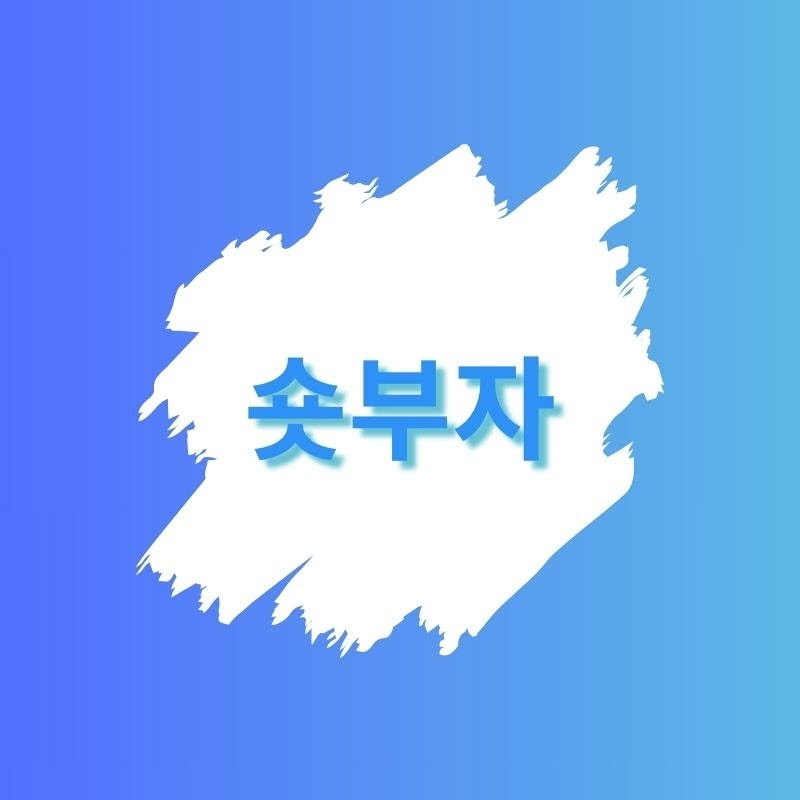 숏부자