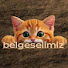 RTE8sfrYvP8-channel-avatar-belgeselimiz