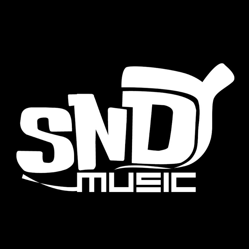SNDY Music profile avatar