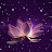 Zen and Soul