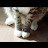 @yhj7965