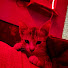 56B1FeOrGBM-channel-avatar-strikerval
