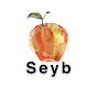 Seyb Digital logo