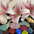 evE05-5n94M-channel-avatar-Whiterose Tarot Reading 