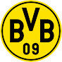 Borussia Dortmund Insights logo