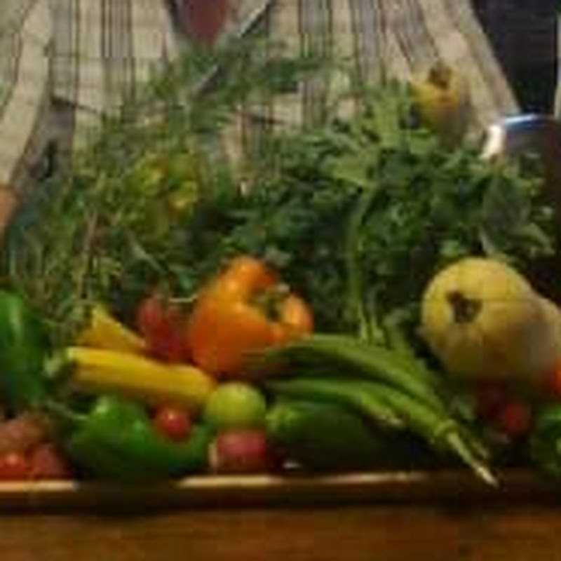 EZ Food & Garden