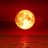 JNgpNmz2tXY-channel-avatar-Golden Eclipse