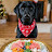 Photo of @Yummydog2026