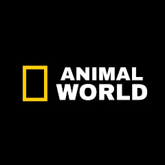 ANIMALWORLD 