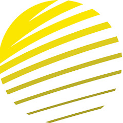 PNO Consultants net worth