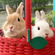 うさぎのポッケ【うさぎの兄弟】