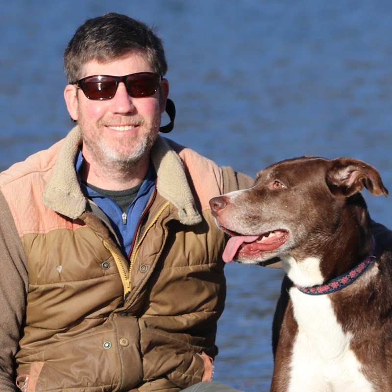 Tommy’s Canine Academy- formerly MyDogTrainingSpot